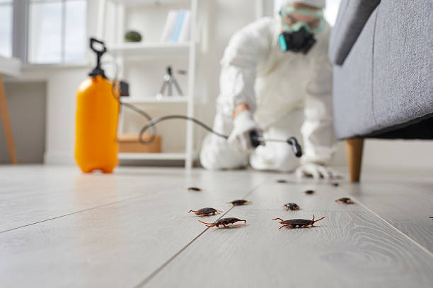 Trusted Termite Control service in Brittany Farms-The Highlands, PA - Nex Pest Control